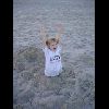 Beach14.jpg